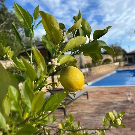 Typical Portuguese Quinta Sao Sebastiao Tatil Evi *